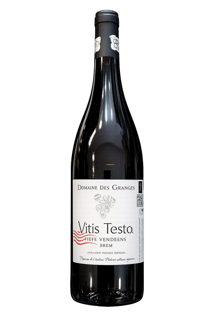 vitis testa