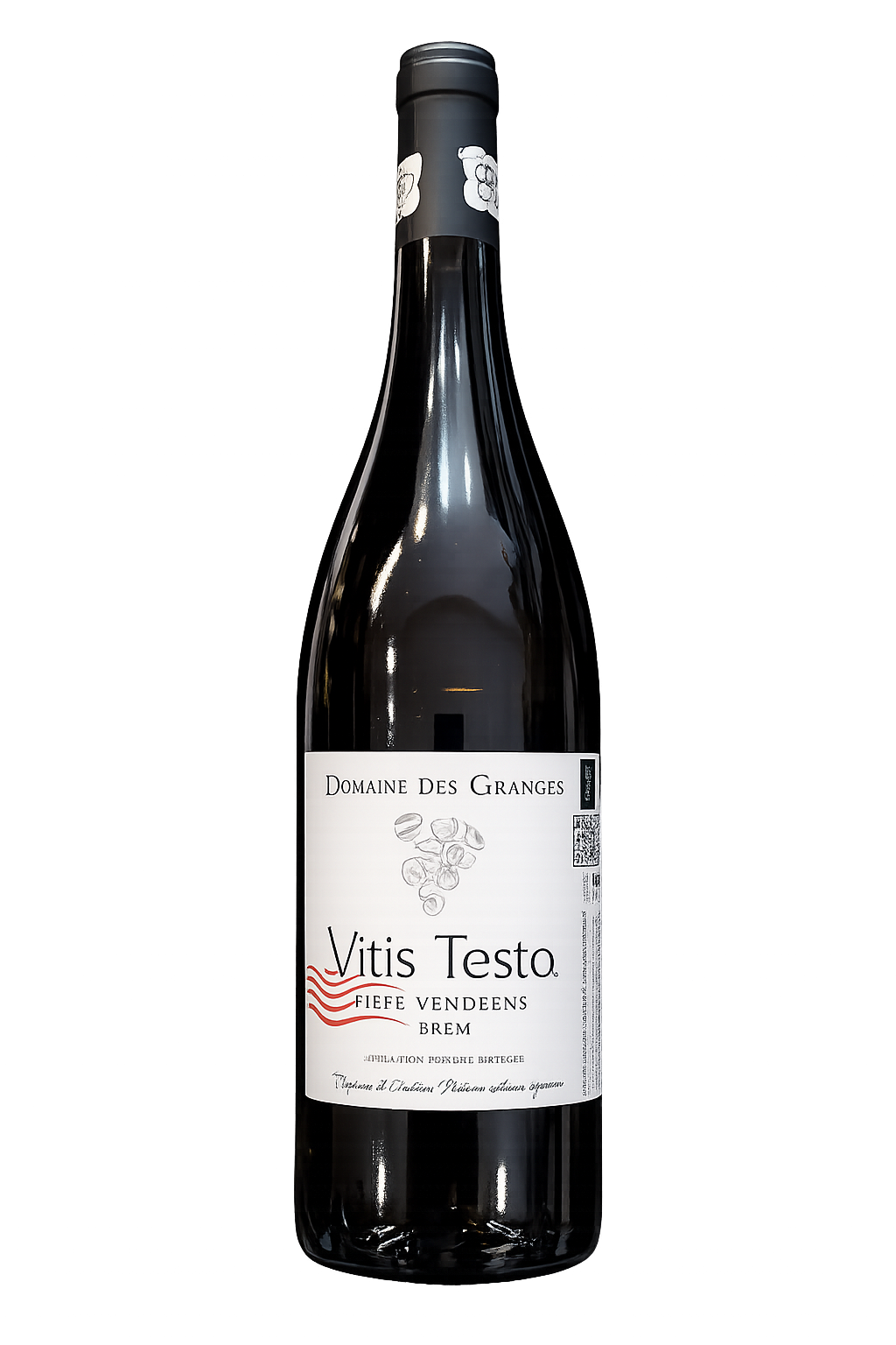 vitis testa vitis testa