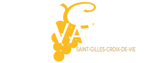 cavavin logo 3 01